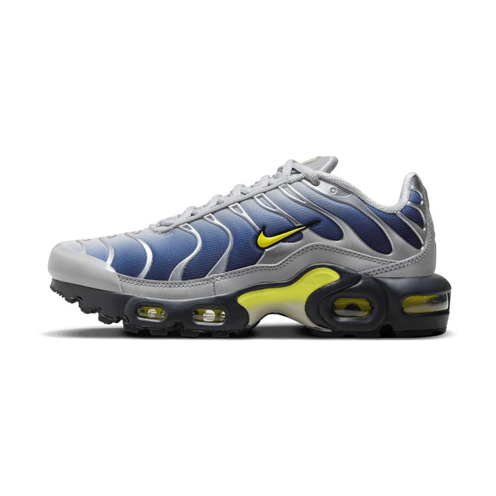 Nike Air Max Plus Obsidian Silver (GS)